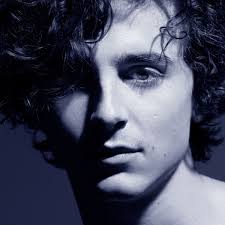 Timothée Chalamet faces backlash for smoking at Beyoncé concert