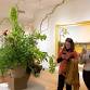 Art in Bloom 2025 — Portland Museum of Art