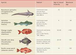 In british english, the usual word for the mass of salt water that covers most of the earth's surface is the sea. Deep Sea Fishing World Ocean Review
