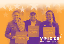 Once you start dialysis, you will need to eat more protein. Dietary Guidelines For Adults Starting On Hemodialysis National Kidney Foundation