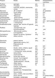 Image result for Phyla