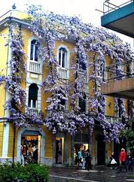 Where are today the families emigrated from pescara, abruzzo, italy province? 39 Pescara Italy Ideas Pescara Italy Abruzzo