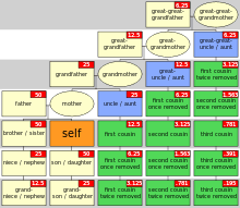 Making a family tree has never been so easy. Family Tree Wikipedia