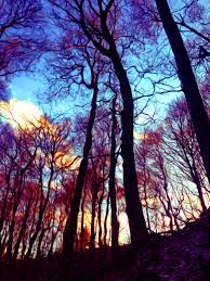 Winter S Dance Psychedelic Art Print Digital Painting Photoshop Psychedelic Art Psychedelic Artwork