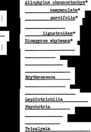 Image result for Tricalysia acocantheroides