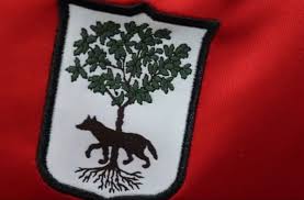 Lo stemma della città reca una lupa incedente e un albero di leccio coronato da cinque torri.la lupa e il leccio sono gli elementi simbolici che hanno dato il nome alla città: Sorpresa Per I 113 Anni Domani Il Lecce In Campo Con Una Maglia Celebrativa Video Calcio Lecce