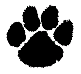 Elkins Girls Varsity Volleyball @ Tucker County