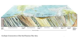 Emily Underwood Artist Naturalist Geologic Cross Section Of The San Francisco Bay Area San Francisco Bay Area San Francisco Bay San