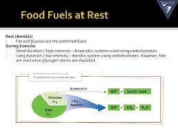 Carbohydrates provide them with energy while protein helps in maintenance such as aerobic respiration takes over after a short time, burning fat and eventually protein. The Role Of Carbohydrate Fat And Protein As Fuels For Aerobic And Anaerobic Energy Production Fatigue Part 4 The Aerobic Energy System Complete Track And Field Carbohydrates And Protein Work