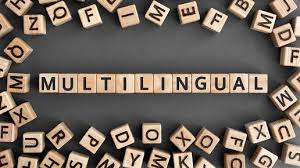 نتیجه جستجوی لغت [multilingual] در گوگل