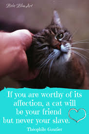 Cats A Collection Of Quotes Boom2bloom Com Cats Cat Quotes Cat Pics