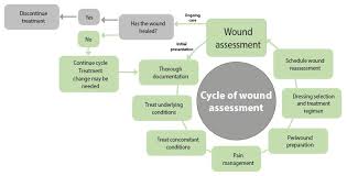 Wound Assessment Why Continuity And Documentation Is So