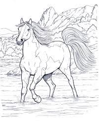 Amazonit libro da colorare per adulti cavalli bonus 60. Pin On Favorite Horse Colouring Pages