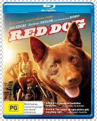 Maybe you would like to learn more about one of these? Australian Kelpie Red Dog Koko Comedy Drama Png Clipart Advertising Australia Australian Kelpie Comedydrama Dog Free