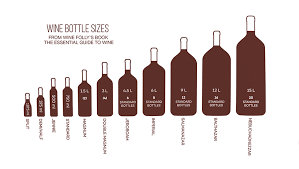 Image Result For Wine Bottle Sizes Wine Bottle Sizes Wine Bottle Wine Folly
