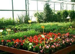 Image Result For Garden Center Belmonte Image Result For Garden Center Belmonte Image Result For Garden Center Belmonte I Garden Center Family Garden Garden