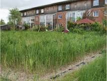 Image result for what is constructed treatment wetland