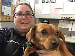 Animal Control Officer Nicole Charbonneau is seen here catching up