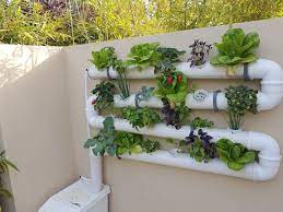 Grow Your Own What Fits You Best Livingreen Hydroponics Aquaponics