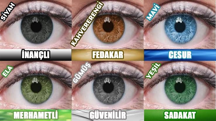 GÖZ RENGİ ile ilgili görsel sonucu"