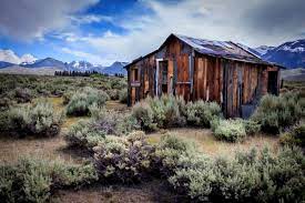 Maybe you would like to learn more about one of these? High Sierra Cabin Shutterbug