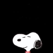 We did not find results for: Thanks A Million Gifs Tenor