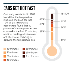 The Troubling Facts Behind Children Dying In Hot Cars Huffpost