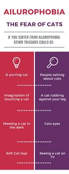Ailurophobia Gatophobia Purring Cat Phobias Cat People
