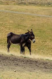 Aujourd'hui bressols salle des fêtes, à 20 h 30, la compagnie des actes salle des fêtes, à 21 heures, concert avec once a week, lodaï, apocaluptein finaliste de tarn&garock et les grands vainqueurs de tarn&garock. Auch Un Week End Au Coeur De La Gascogne Blog Kikimag Travel