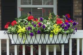 Self watering window boxes on deck rails. Medallion Window Box Or Liner Hooks Lattice Blog Window Box Flowers Balcony Flower Box Balcony Railing Planters