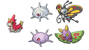 61 Described Pokemon Cascoon Evolution Chart