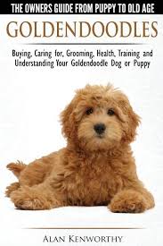 Goldendoodle puppies are adorable, and it's one of the reasons they are so popular. Goldendoodles The Owners Guide From Puppy To Old Age Choosing Caring For Grooming Health Training And Understanding Your Goldendoodle Dog Paperback Goldendoodle Breeders Goldendoodle Grooming Goldendoodle Puppy