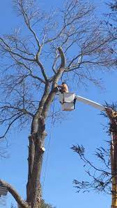Pete S Tree Service Home Facebook