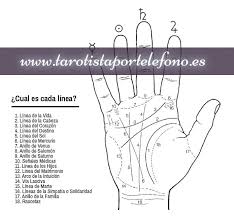 La Quiromancia Es El Arte De La Lectura De Las Manos Te Explicamos El Significado De Las 10 Lineas De La Mano Mas Im Lectura De Mano Quiromancia Leer La Mano