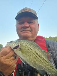 Can you throw net shad from the banks around the lake?