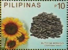 Find out the best time to sow the seeds, how much sun they need, right soil type, good and bad companion plants, plus care all seeds should be cleaned and dried before storing, otherwise they get moldy. Stamp Butong Mirasol Sunflower Seed Philippines Edible Nuts And Seeds Of The Philippines Mi Ph 4712