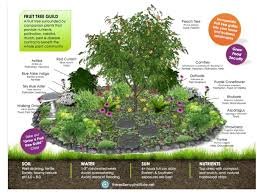 Pin By Benjamin On Permacultura Food Forest Garden Fruit Trees Garden Design Fruit Tree Garden