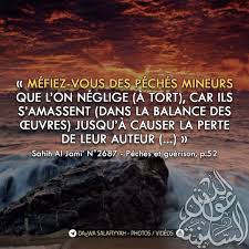 Sahih L Jami 2687 Islam Hadith