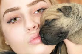 Fundraiser for Cheryl Pike by Rebecca Claire : Help Jamie and her family  have one less worry.