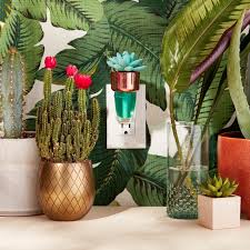 Share on facebook share on twitter share on linkedin share on pinterest. Succulent Decor Succulents Decor Bath And Body Bath And Body Works