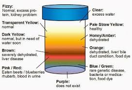 Urine Color Meaning Chart Color Of Urine Health Apple