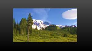 Nature to Classical Vivaldi Music | Nature, Vivaldi, Classical