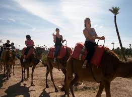 While the sights, sounds, and history of marrakech are intoxicating, the wide open skies, graceful palm groves, and authentic berber villages of the countryside make for a welcome escape best experienced the. Camel Ride In Marrakesh Palmeraie 2021 Marrakech Happytovisit Com