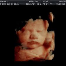 Katy Walters is the 2020 Officer of the Second Quarter. Through her duties  as a Code Enforcement Officer, Officer Walters identified a resident