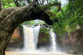 Being a national park, khao yai national park won't require a particular itinerary. Spacetraveller Activity Khao Yai National Park Jungle