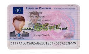 We did not find results for: France Driving License Template