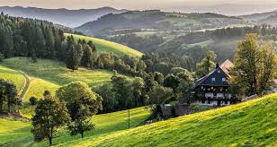 Beindruckende naturlandschaften prägen die region im mittleren schwarzwald. Schwarzwald 2017 So Viele Gaste Wie Noch Nie