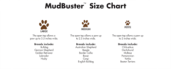 Labrador Retriever Size Chart 2019