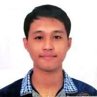 Lion's Shadow by A.J. Stewart