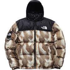 The North Face X Supreme Jacket
